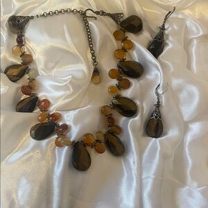 Tigers Eye and Carnelian Necklace and Earring Set